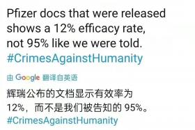 造假；還是因為造假？？？