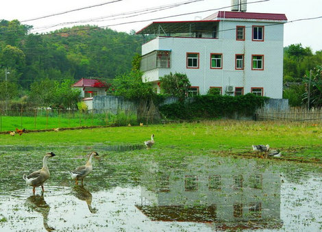 特色餐廳.jpg